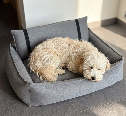 Warum orthopädische Hundebetten für die Gesundheit deines Hundes so wichtig sind