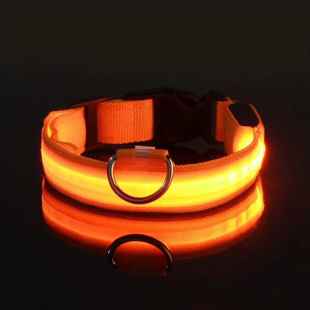 Woofwonder® LED - Hundehalsband – Maximale Sichtbarkeit & Sicherheit bei Nacht - WoofWonder