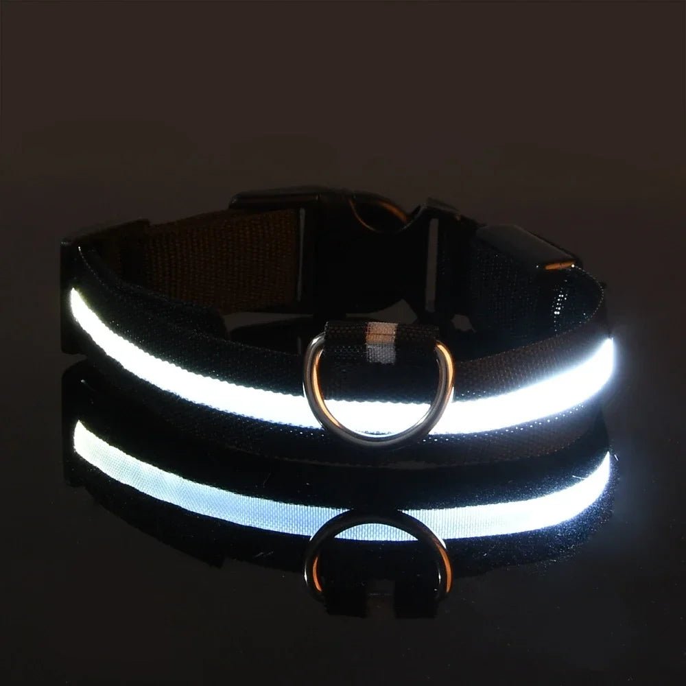 Woofwonder® LED - Hundehalsband – Maximale Sichtbarkeit & Sicherheit bei Nacht - WoofWonder
