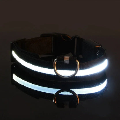 Woofwonder® LED - Hundehalsband – Maximale Sichtbarkeit & Sicherheit bei Nacht - WoofWonder