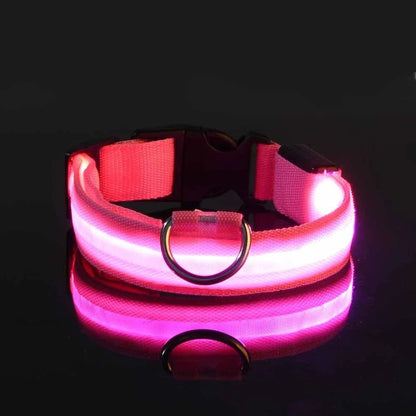 Woofwonder® LED - Hundehalsband – Maximale Sichtbarkeit & Sicherheit bei Nacht - WoofWonder