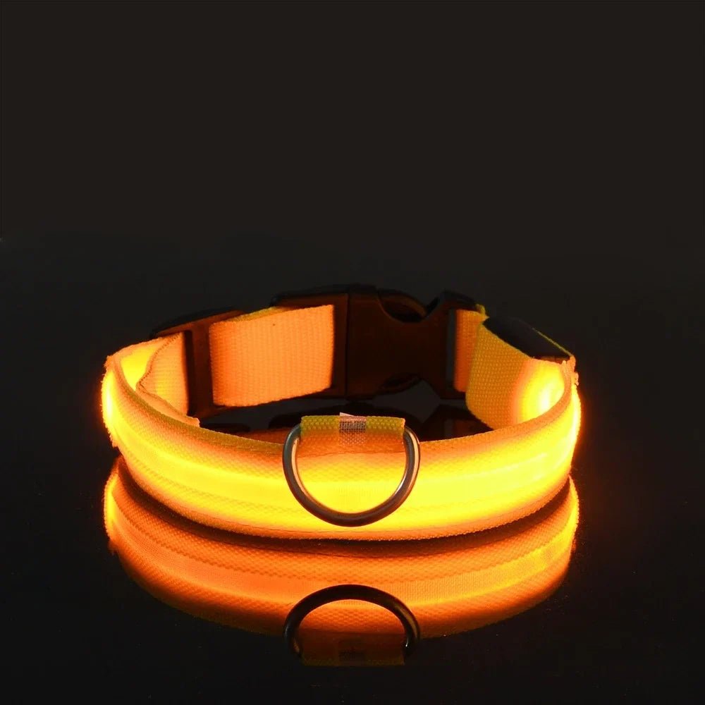 Woofwonder® LED - Hundehalsband – Maximale Sichtbarkeit & Sicherheit bei Nacht - WoofWonder