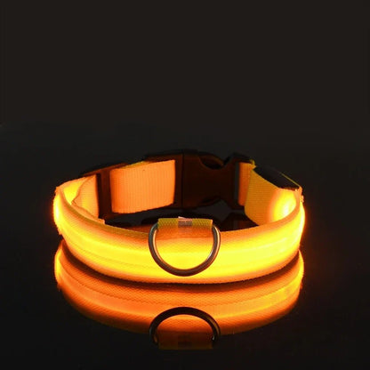 Woofwonder® LED - Hundehalsband – Maximale Sichtbarkeit & Sicherheit bei Nacht - WoofWonder