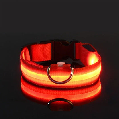 Woofwonder® LED - Hundehalsband – Maximale Sichtbarkeit & Sicherheit bei Nacht - WoofWonder